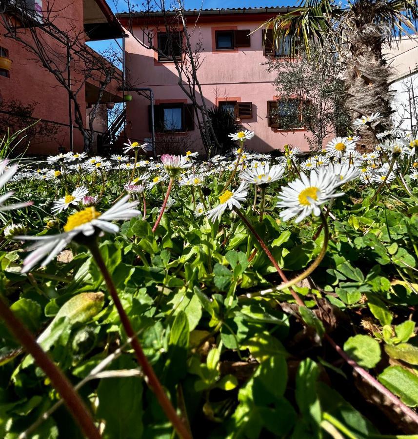 Ferienwohnung Elentoni Fažana Exterior foto